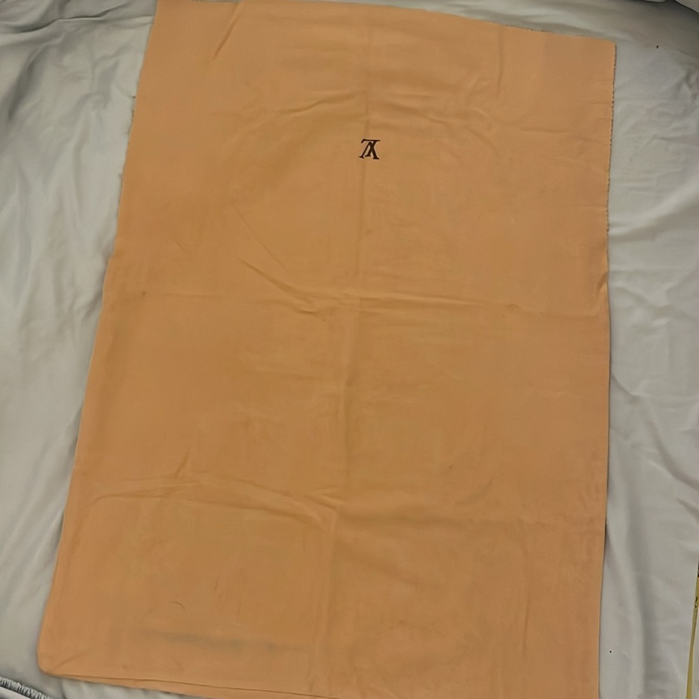 Lost in the 🔥 Louis Vuitton Dust Bag - Picture 4 of 7